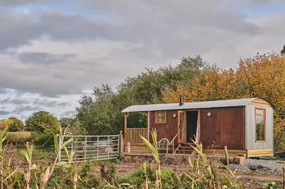 a small cabin in a field with trees at Big Sky Hideaway in Leominster