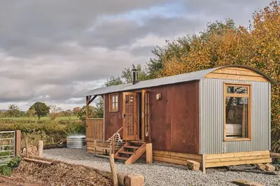 a small wooden cabin in a garden at Big Sky Hideaway in Leominster
