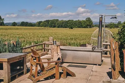 a garden with a field of corn in the background at Curious Calf in Leominster