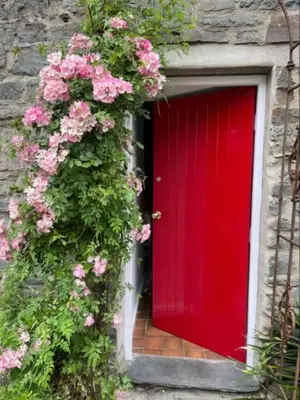 a red door with pink flowers in front of a building at Characterful 3 Bedroom Cottage in Aberystwyth