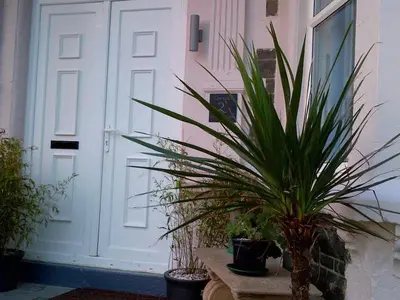 a potted plant sitting on a bench in front of a door at Driftwood Designer Apartment in Tywyn