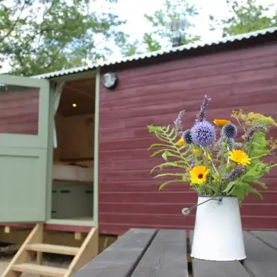 Cosy Shepherd's Hut with Hot Tub