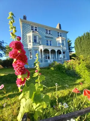 a blue house with flowers in front of it at Northampton House in Llanwrtyd Wells