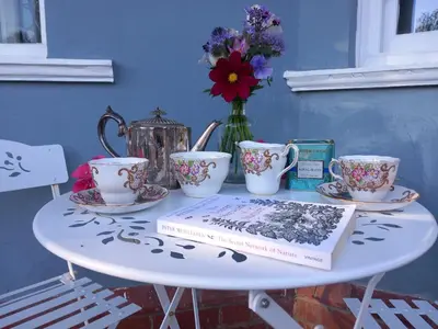 a table with a book and cups and a vase with flowers at Northampton House in Llanwrtyd Wells