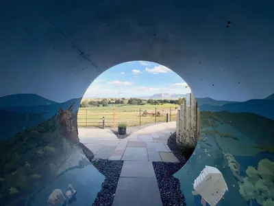 a view of a tunnel with a cat looking through it at Honeybee Home in Llansantffraid-ym-Mechain