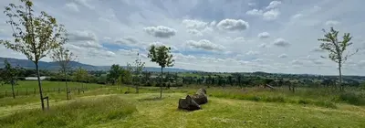 a large rock sitting in a field of grass at Honeybee Home in Llansantffraid-ym-Mechain