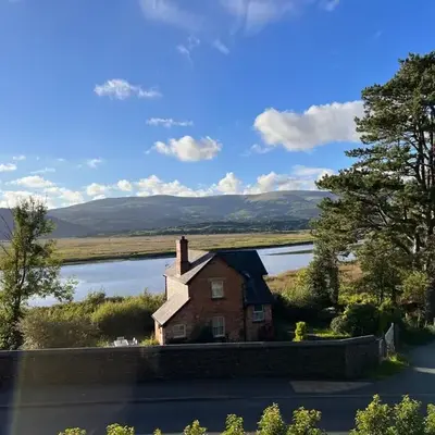 Penestaer