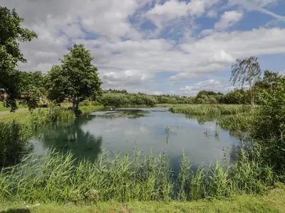 a river in a field with clouds in the sky at Heron in Leominster