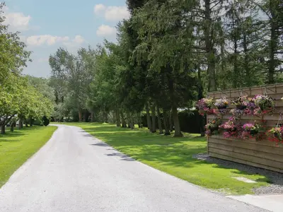 a road with flowers on a fence and trees at Foxglove in Leominster