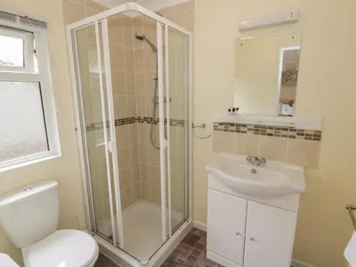 a bathroom with a shower and a toilet and a sink at Daffodil in Leominster