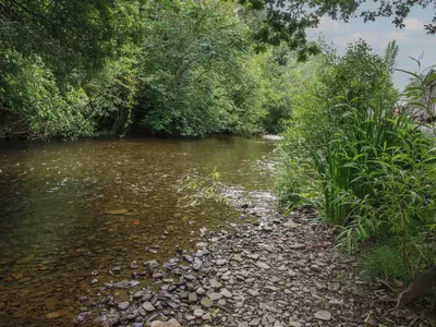 a river with rocks and trees and bushes at Daffodil in Leominster