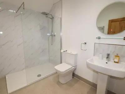 a bathroom with a shower and a toilet and a sink at Rhos Las in Derwen