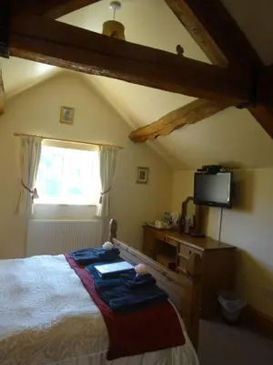 a bedroom with a bed and a tv and a window at Middle Woodbatch B&B in Bishops Castle