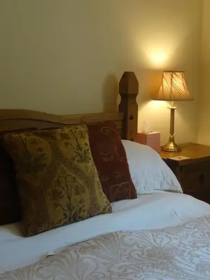 a bed with a pillow and a lamp on a table at Middle Woodbatch B&B in Bishops Castle