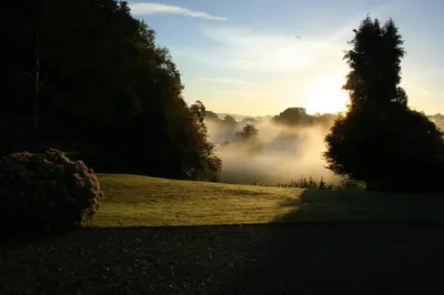 a foggy field with a tree and the sun in the background at Garn Lodge in Newtown
