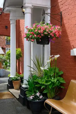 a group of potted plants on the side of a building at Darwins Townhouse in Shrewsbury