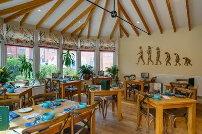 a restaurant with wooden tables and chairs and windows at Darwins Townhouse in Shrewsbury