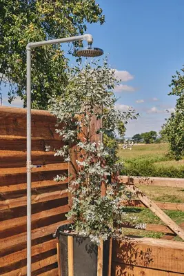 a plant in a pot next to a fence at Powk Meadow Farmhouse in Leominster