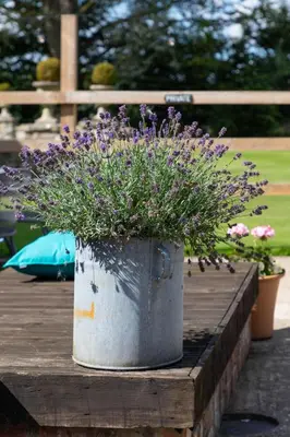 a metal bucket filled with purple flowers on a wooden table at The Lawley in Shrewsbury