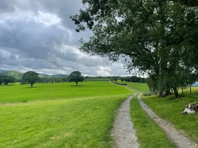 a dirt road in a field with a tree at Pwllglas Bach - Spacious Cabin in Machynlleth