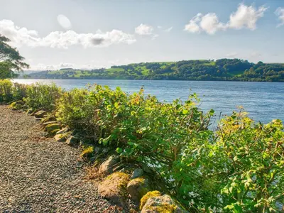 a row of plants on the shore of a body of water at Arenig - Bala Lake in Bala