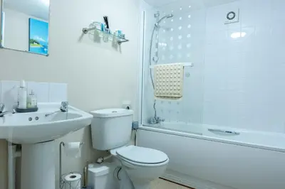 a bathroom with a toilet and a sink and a shower at The Cock Hotel in Bronllys