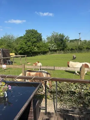 a group of horses in a field behind a fence at Bridie -rose with wood tub country retreat in Kington
