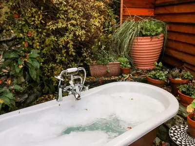 a bath tub with a faucet and potted plants at The Kites Nest in Ystrad Meurig