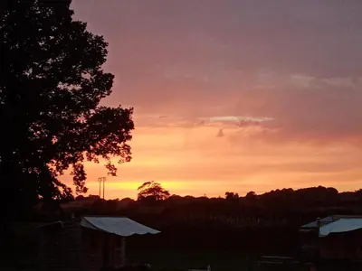 a sunset with a tree and a sky at Beaver Tail Cabin in Hereford