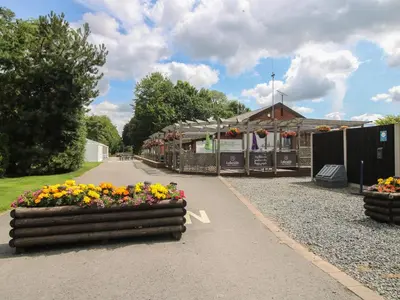 a display of flowers on the side of a road at Mallard in Leominster