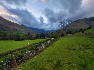a field of green grass with sheep in the distance at Bryn Sion Farm in Dinas Mawddwy
