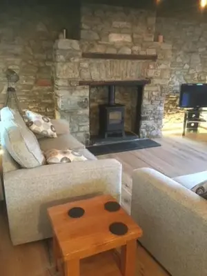 a living room with a couch and a fireplace at No 1 Dolheulog Aberaeron SA46 0EP in Aberaeron