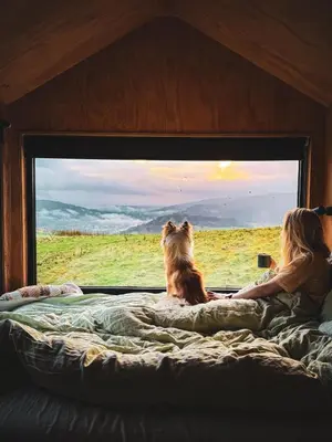 a woman and a dog looking out of a window at Vega in Llangollen