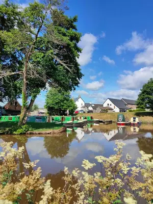 a body of water with a tree and boats at Dragonfly Cottage, Canal location in Brecon