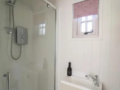 a white bathroom with a shower and a sink at Dragonfly Shepherd's Hut in Aberaeron