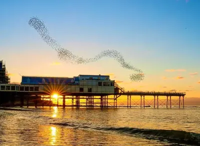 a pier with a bunch of birds flying over the water at Swn Y Mor 4 Aberystwyth in Aberystwyth