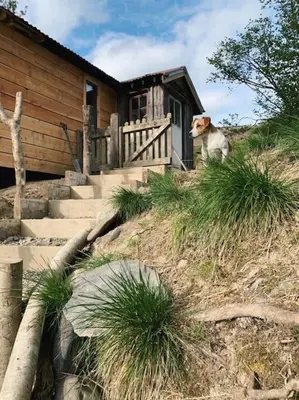 a dog sitting on the steps of a house at The Boatshed at Camp Plas in Welshpool