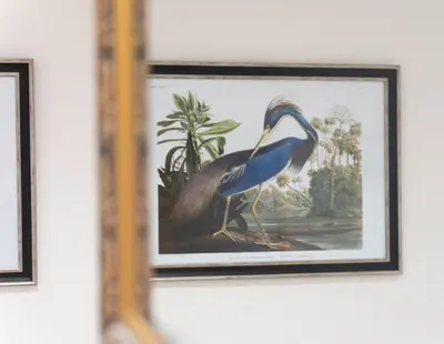 a picture of a bird in a picture frame at Branlea - In the Heart of Ludlow in Ludlow