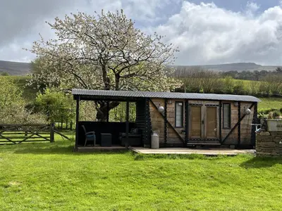 a small cabin in a field with a tree at Transformed Railway Wagon- Sleeps2-Garden-Firepit in Crickhowell