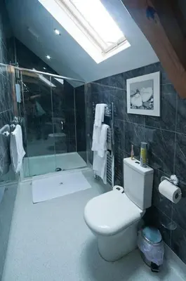 a bathroom with a white toilet and a shower at Oak Barn in Brecon