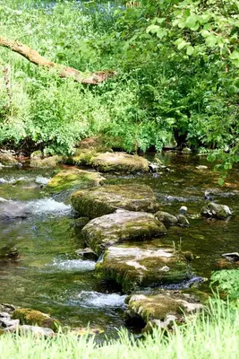 a stream with rocks in the middle of a river at The Orient Express Shepherd's Hut with Hot Tub in Brecon