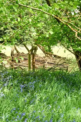a fence in a field of grass and flowers at The Mallard Shepherd's Hut with Hot Tub in Brecon