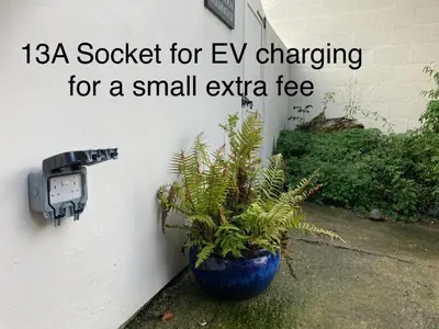 a plant in a blue pot next to a wall at Bryntirion Farmhouse Apartment with Hot Tub in Llanfair Caereinion