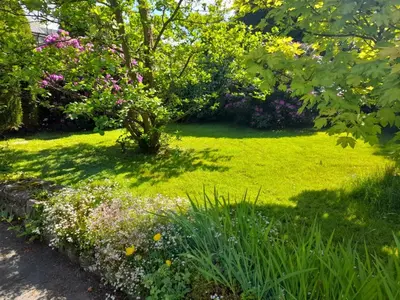 a garden with a green lawn and flowers at Yr Hen Efail - Quirky Old Smithy cottage near forest walks, cycling & lakes in Garthbeibio