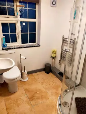 a bathroom with a toilet and a shower at Yr Hen Efail - Quirky Old Smithy cottage near forest walks, cycling & lakes in Garthbeibio