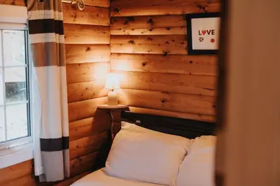 a bedroom with a wooden wall with a bed and a lamp at Rustic Log Cabin in Snowdonia - 2 Bedrooms & Parking in Ffestiniog