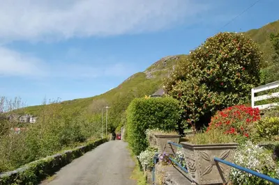a dirt road with bushes and flowers on a hill at Bryn Mair in Barmouth in Barmouth