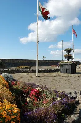 a canadian flag flying over a field of flowers at Hafan Y Traeth Beach Front Apartment in Barmouth in Barmouth