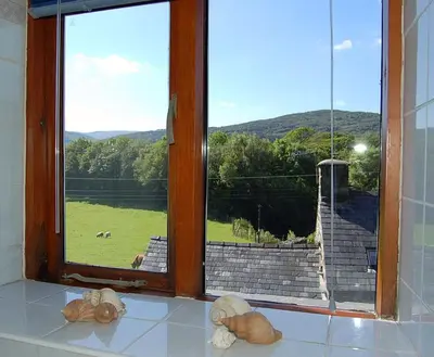 a window with a view of a field with a horse at Tre-Allt Gorgeous Cottage in Dolgellau