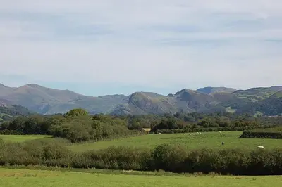 a field with mountains in the background with animals in it at Y Bwthyn Bach Cute Stone Cottage in Tywyn in Tywyn